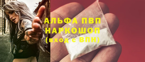apvp Няндома